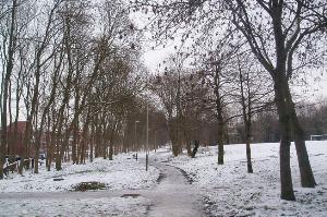 A snowy Beaumont Walk