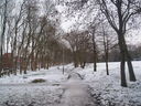 A snowy Beaumont Walk