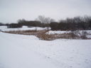 Wintry pond in Beaumont Park