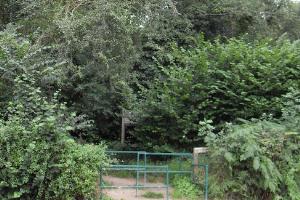 The entrance to Pig Wood in Hawthorne Lane.