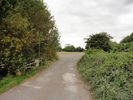 Looking along the taxiway from the path junction at [3], to where the path goes through a gap between bushes.