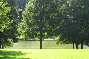 Trees and lake in St George Park