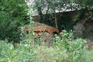 Inside the Walled Garden