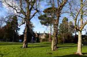 Glenfield Hospital Grounds