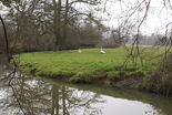 Alongside the River Uck shortly after crossing the railway. In the background can be seen the bridge that the route takes.
