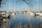 View Across Chichester Marina