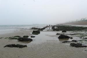 Remains of the Daddy Longlegs Electric Railway