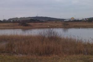 Newhaven nature park