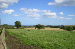 A view from Hawthorn village