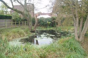 Small pond on Wheatfield Close