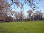 Ruskin Park