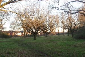 Kirby Frith Local Nature Reserve