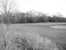 The Golf Course