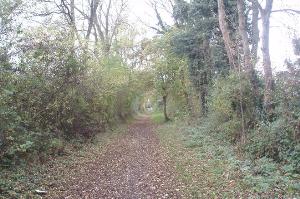 Path on the line of the old Leicester to Swannington railway