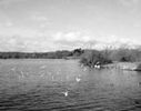 Groby Pool