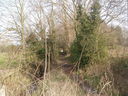 Footpath from A50