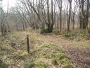 Sheet Hedges Wood with white path indicator