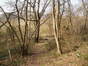 Little bridge in Sheet Hedges Wood