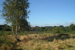 Parley Common