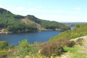 Looking at Loch Trool from Bruce