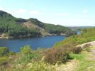 Looking at Loch Trool from Bruce