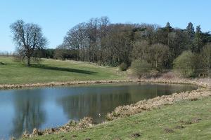 Lower Lake, Greetham, Rutland