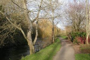 Wimborne, riverside walk