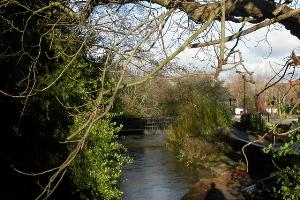 Wimborne, footbridge