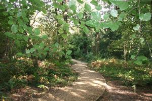 A view along the path in Bugden