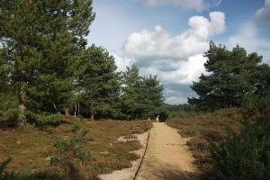A view of the circular path in Stephen