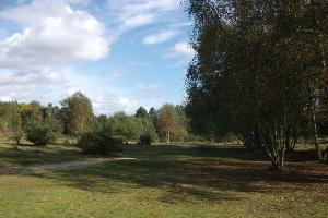 A view of the walk from the path