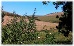 Standean Bottom