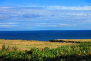 A coastal walk in Blackhall Rocks