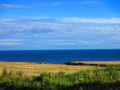 A coastal walk in Blackhall Rocks