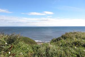 Blackhall Rocks - coastal walk