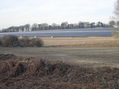 Solar panel farm