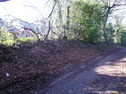 Shultern Lane in Autumn