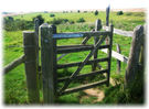 Gate near Ditchling Beacon.  Go through this gate to get on to the access land after visiting the Beacon
