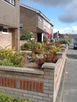 Colourful gardens in Shepherd Road