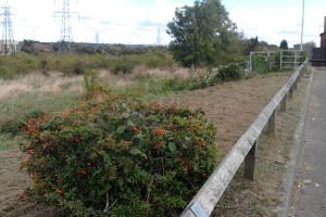 Open land behind Wheatfield Road