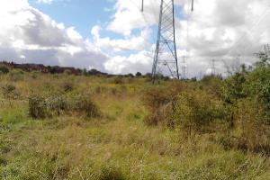 Open Land between Wheatfield Road and Sandringham Drive