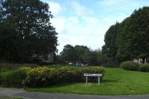 Grassed area with trees on the corner of Ferrers Close