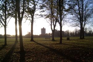 Autumn in Victoria Park