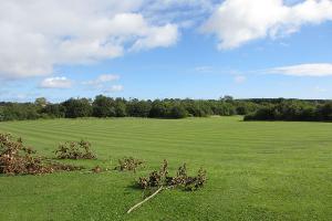 Open green space in Trimdon Grange