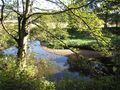 The River Browney outside of Lanchester