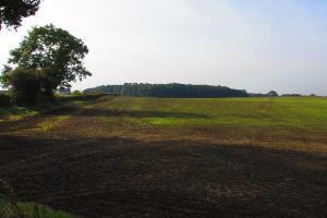 Walking around the fields of High Shincliffe