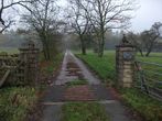 Gate posts with stone rabbits
