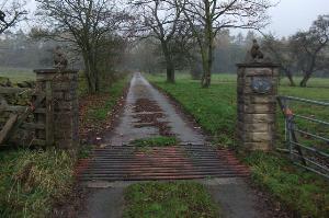 Gate posts with stone rabbits
