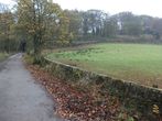 Up the lane towards the railway