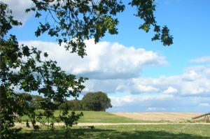 Broad Farm.  Walk straight ahead here, aiming for the large tree.